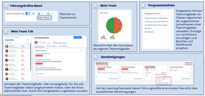Übersicht für Führungskräfte